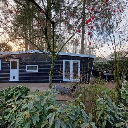 Veluwe Park Reewold-chalet In Voor Rust Zoeker * Putten