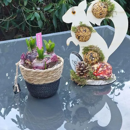 Veluwe Park Reewold-chalet In Voor Rust Zoeker Parque de Campismo