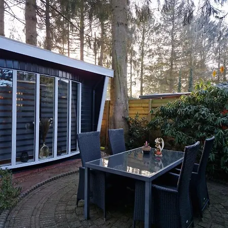 Veluwe Park Reewold-chalet In Voor Rust Zoeker