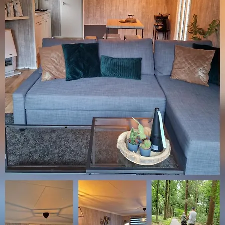 Veluwe Park Reewold-chalet In Voor Rust Zoeker