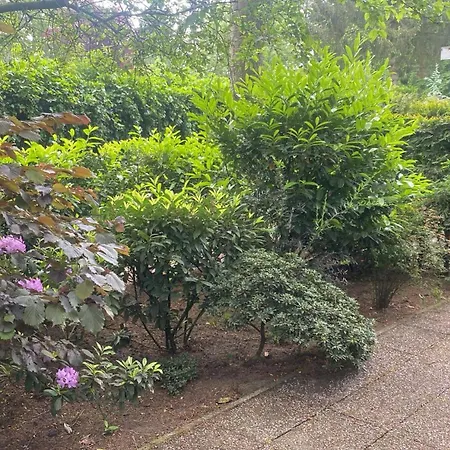 Camping Veluwe Park Reewold-chalet In Voor Rust Zoeker