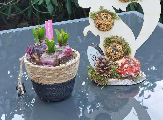 Veluwe Park Reewold-chalet In Voor Rust Zoeker Campsite