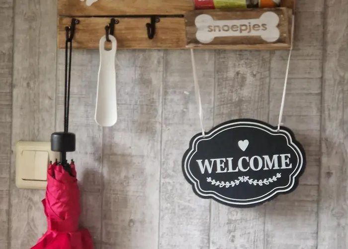 Veluwe Park Reewold-chalet In Voor Rust Zoeker Campsite *