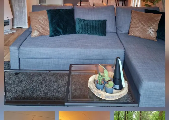 Veluwe Park Reewold-chalet In Voor Rust Zoeker