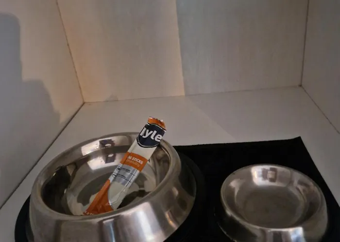 Veluwe Park Reewold-chalet In Voor Rust Zoeker * Putten