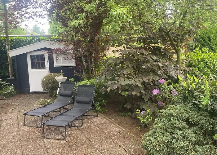 Veluwe Park Reewold-chalet In Voor Rust Zoeker